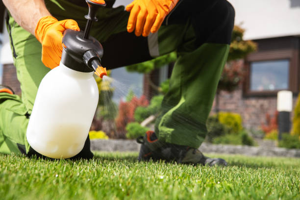 Best Residential Pest Control  in Rexland Acres, CA